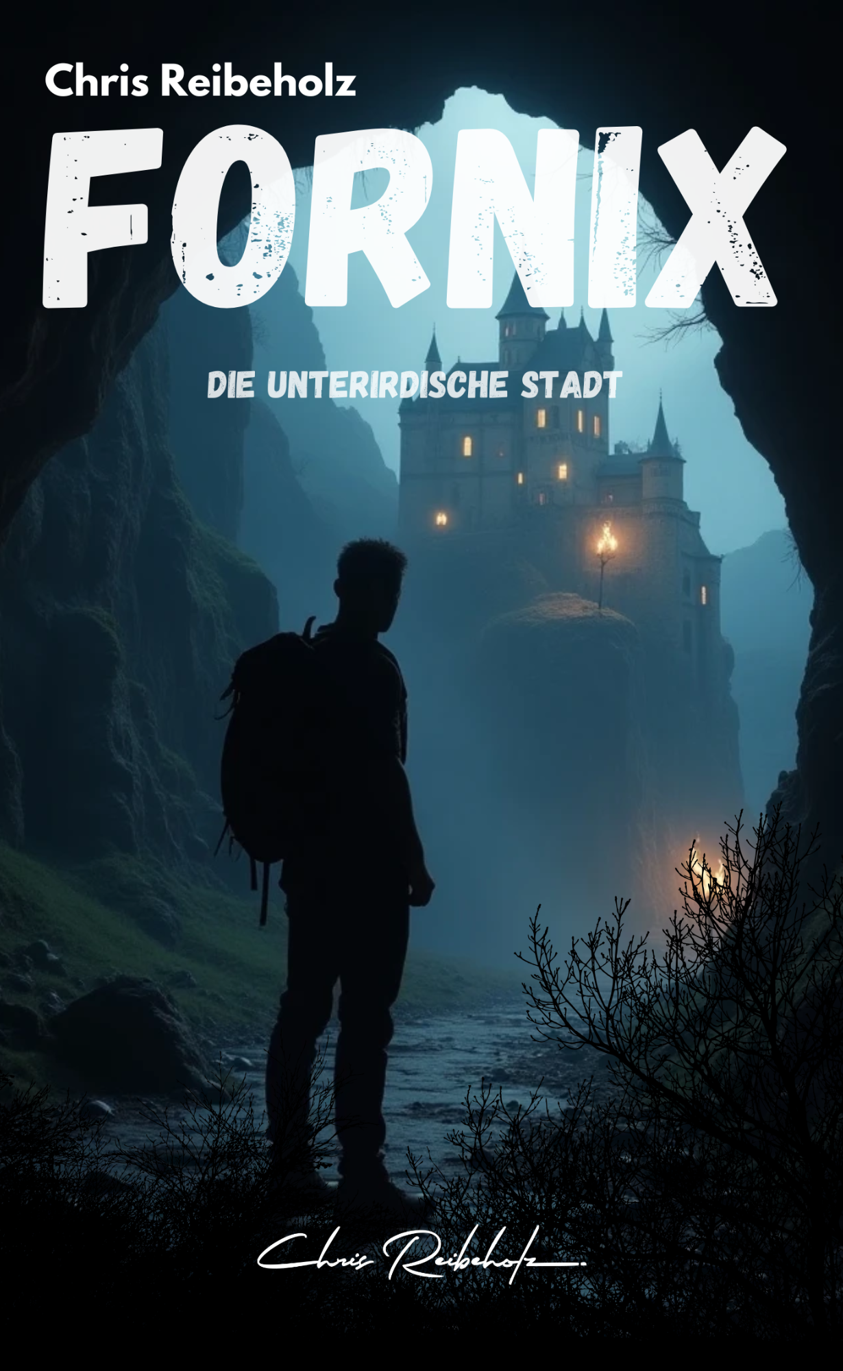Fornix Romancover Ein junger Mann blickt in eine Höhle und sieht eine Burg auf einem Berg thronen.